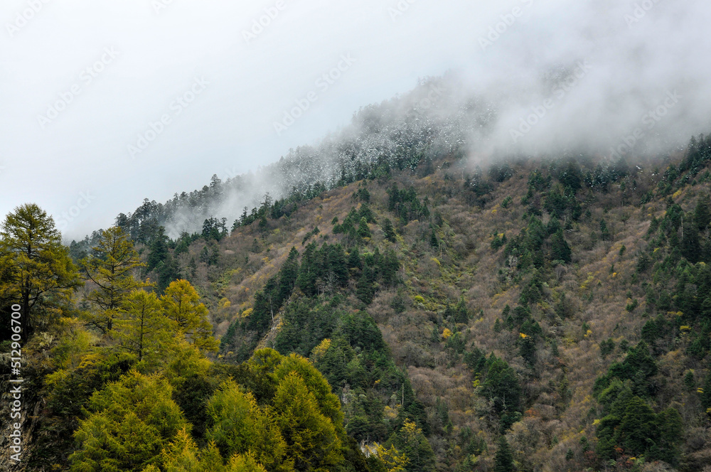 autumn in the mountains
