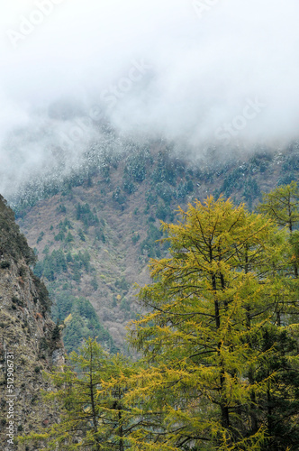 autumn in the mountains