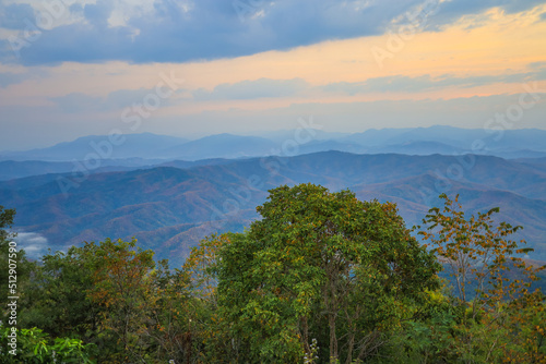 Green trees with mountain ranges and morning mist in the background.(selective focus) at Doi Samer Dao,Sri Nan National Park,Nan province,Thaiand.