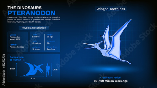 Description and Physical Characteristics of Pteranodon - Vector Illustration