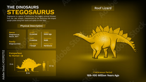 Description and Physical Characteristics of Stegosaurus - Vector Illustration