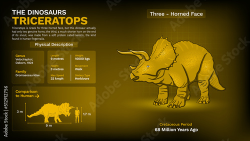 Description and Physical Characteristics of Triceratops - Vector Illustration