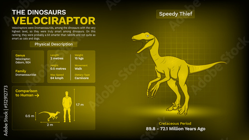 Description and Physical Characteristics of Velociraptor - Vector Illustration