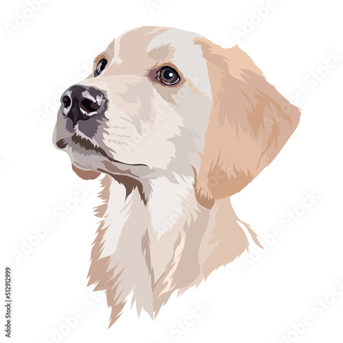 Labrador retriever puppy. Dog portrait. Vector illustration