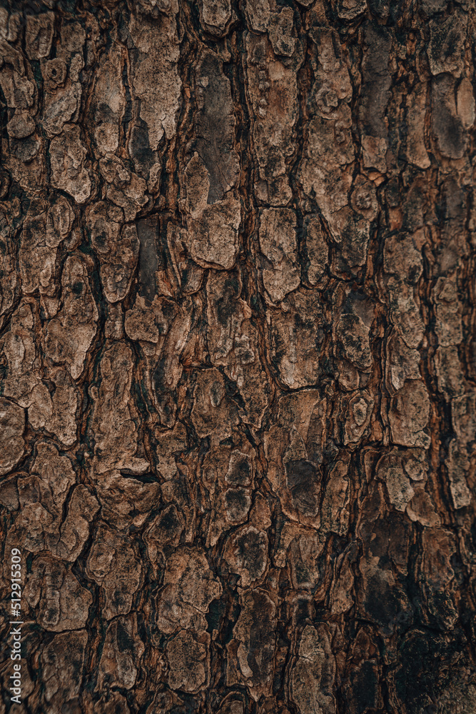 embossed texture background of brown bark embossed texture background of brown bark