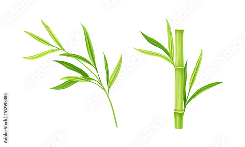 Wallpaper Mural Bamboo stems with leaves. Green decoration elements vector illustration Torontodigital.ca