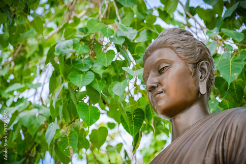 Buddha statues in various gestures at the Bodhi tree courtyard in Wat Benchamabophit. photo