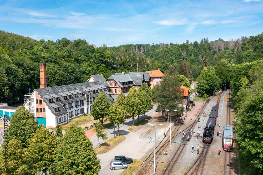 Bahnhof Alexisbad im Selketal mit Harzer Schmalspurbahn
