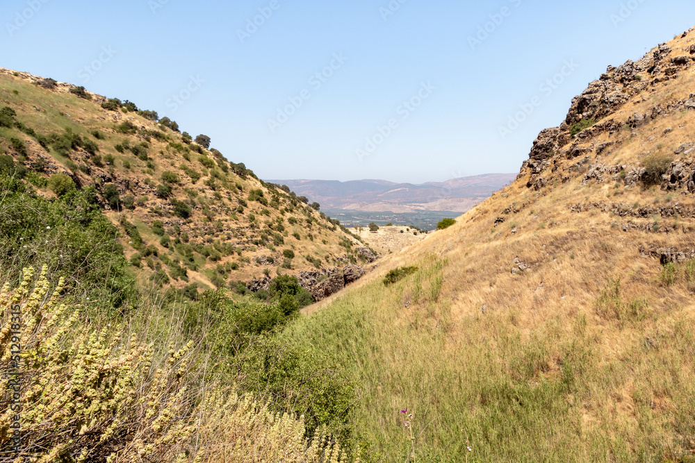 Nature  on the banks of the Jalaboun stream in the Golan Heights, northern Israel