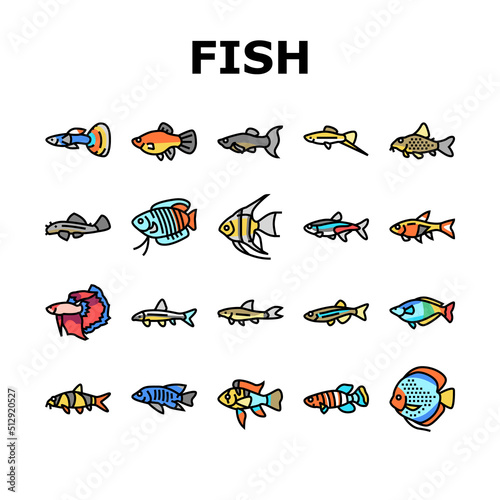 Aquarium Fish Tropical Animal Icons Set Vector. Angelfish And Rainbowfish, Danios And Gourami, Cory Catfish And Tetras Exotic Decorative Aquarium Fish. Underwater Life Color Illustrations