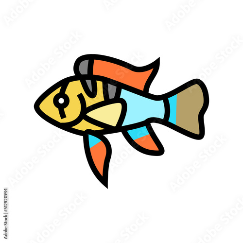 ram cichlids fish color icon vector. ram cichlids fish sign. isolated symbol illustration