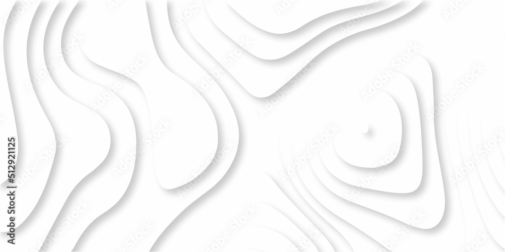 Fototapeta premium Modern White wavy vector background. White paper cut background with 3D style and gradient white color. Abstract white papercut with wavy layers, opographic canyon map light relief texture.