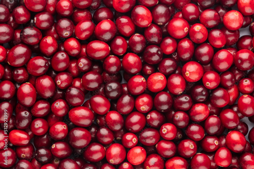 Cranberry bio background, food background.
