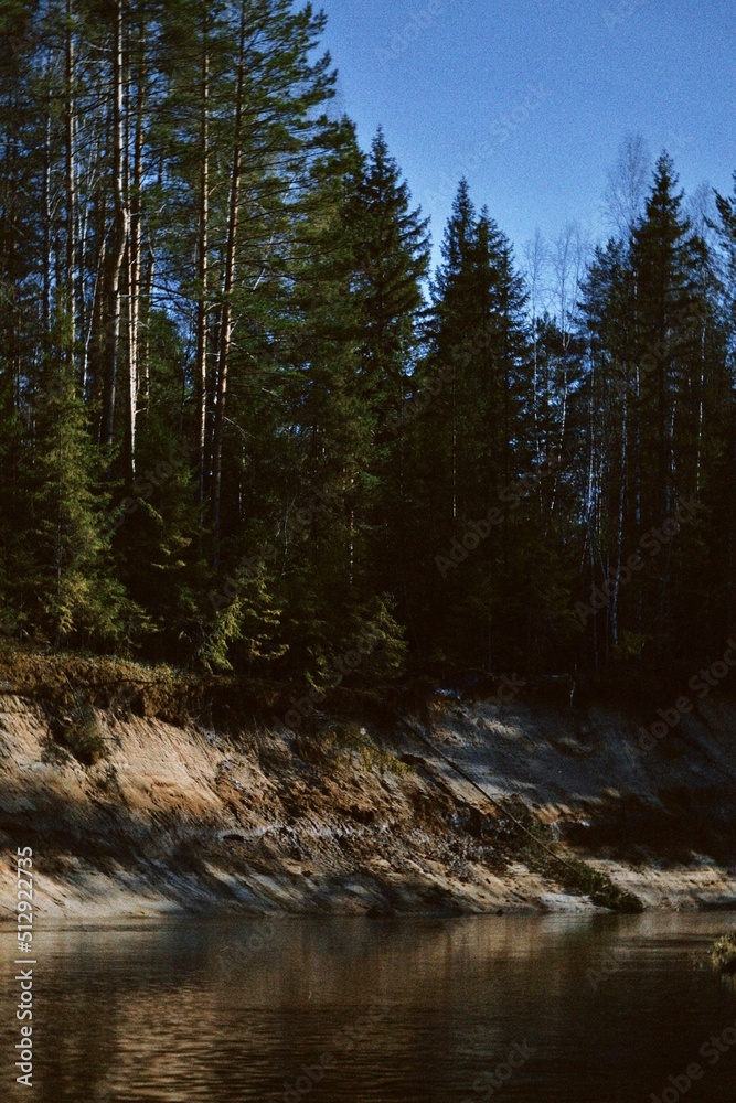river in the woods river in the woods