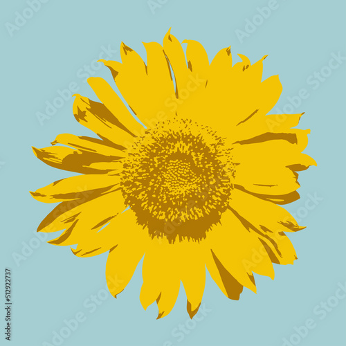 Разобрать подсоBright yellow inflorescence of sunflower on a white background. Realistic Helianthus Flowerлнух и цифры