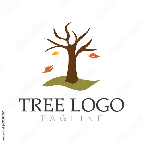 Tree logo icon vector illustration design.Vector silhouette of a tree templates of tree logo and roots  tree of life design illustration