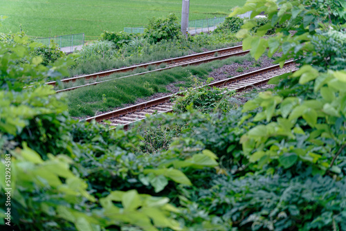 緑の線路