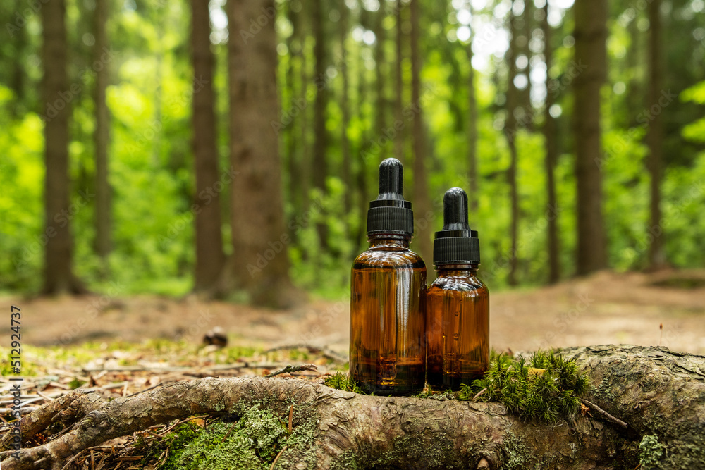 Two glass brown cosmetic containers with pipette are placed against backdrop of a natural forest. Concept of natural organic cosmetics, skin health. Selective focus.. Two glass brown cosmetic containers with pipette are placed against backdrop of a natural forest. Concept of natural organic cosmetics, skin health. Selective focus..