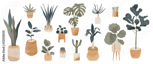Potted plants collection on white background. Set of interior house plants with baskets, flower pot, monstera, leaves and foliage. Different home indoor green decor illustration for decoration, art.