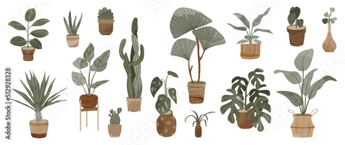 Potted plants collection on white background. Set of interior house plants with baskets, flower pot, monstera, leaves and foliage. Different home indoor green decor illustration for decoration, art.