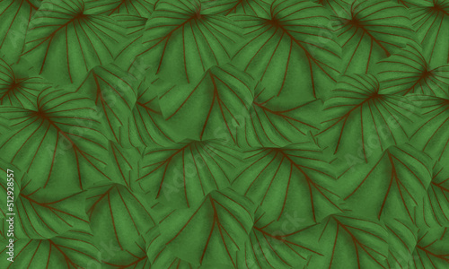 tropical green leaves hand drawn spring nature background