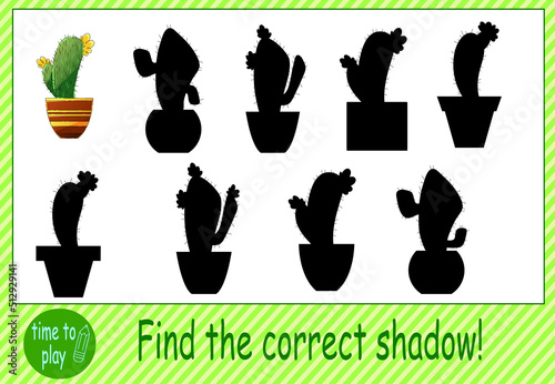 children's educational game. a game of logic. find the right shadow. cactus. plant. greenery. flower.