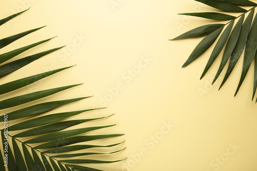 Green tropical palm leaves on beige background. Minimal summer concept. Creative flat lay.