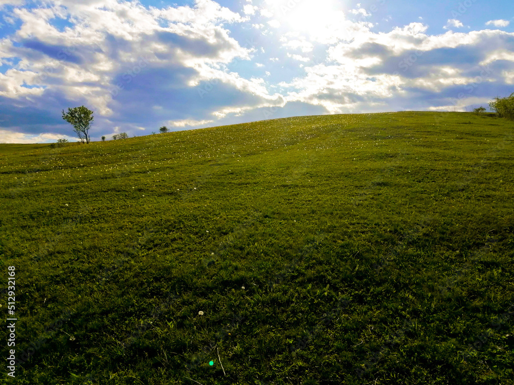 green field and blue sky green field and blue sky