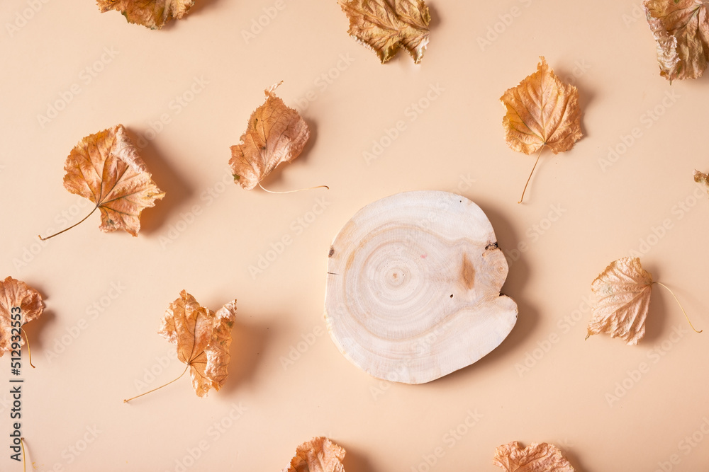 Autumn composition. Pattern made of dried leaves and wooden saw on pastel beige background for cosmetic presentation. Autumn, fall concept. Flat lay, top view