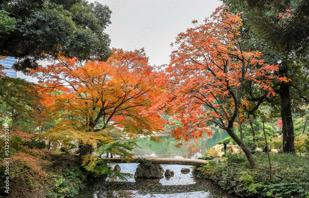 Tokyo,Japan on December6,2019:Togetsukyo Bride with fall foliage at Rikugien Garden. Tokyo,Japan on December6,2019:Togetsukyo Bride with fall foliage at Rikugien Garden.