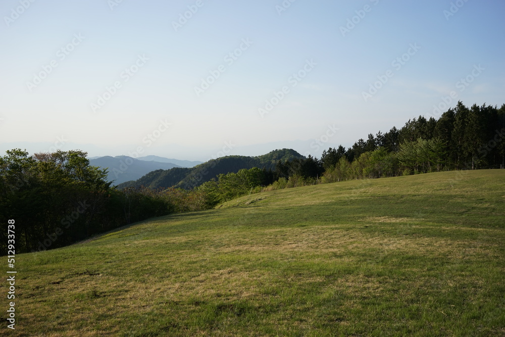 landscape in the summer