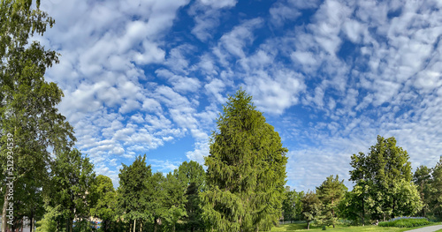 Sky panorama with interesting cirrus clouds over a park area in Riga, Latvia. Clean environment concept.