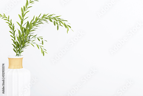 Plant against a white wall mockup. White wall mockup