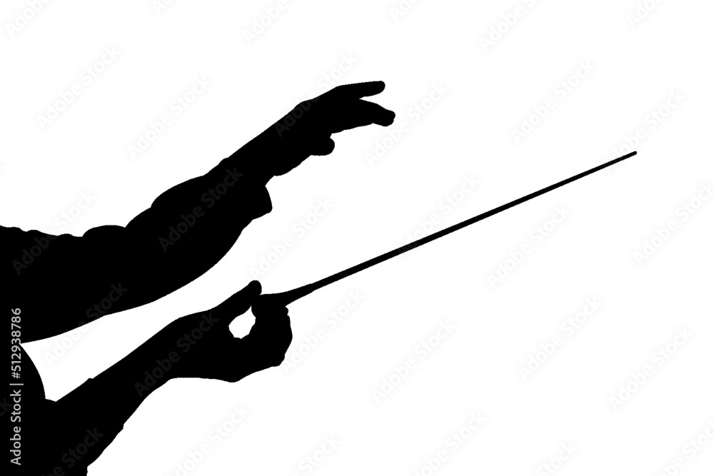 Silhouette of music conductor hands with stick on white background ...
