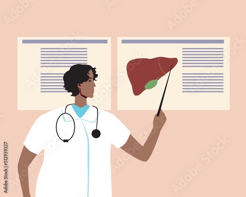 Doctor shows liver on poster or infographic, flat vector stock illustration as concept of intern or intern exam or oradinator