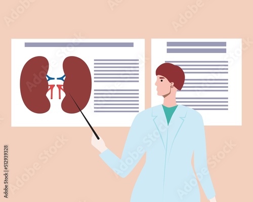 Female urologist shows kidneys in infographic, flat vector stock illustration as concept study or exam intern or oradinator