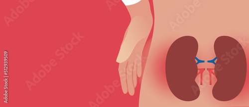 Kidney disease, copy space pattern, anatomical vector stock illustration with persona and kidney disease
