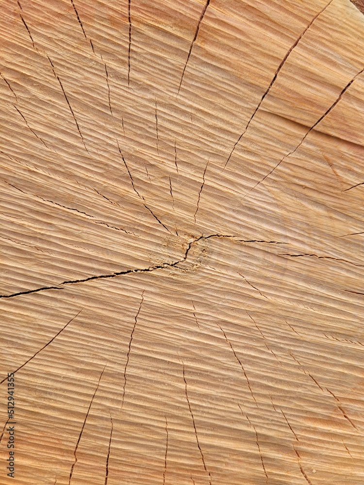 Fototapeta premium background