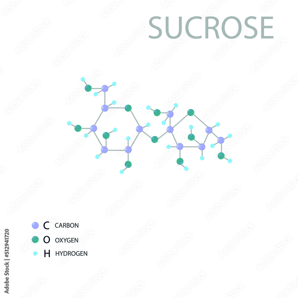 Sucrose molecular skeletal 3D chemical formula.
Sucrose molecular skeletal 3D chemical formula.