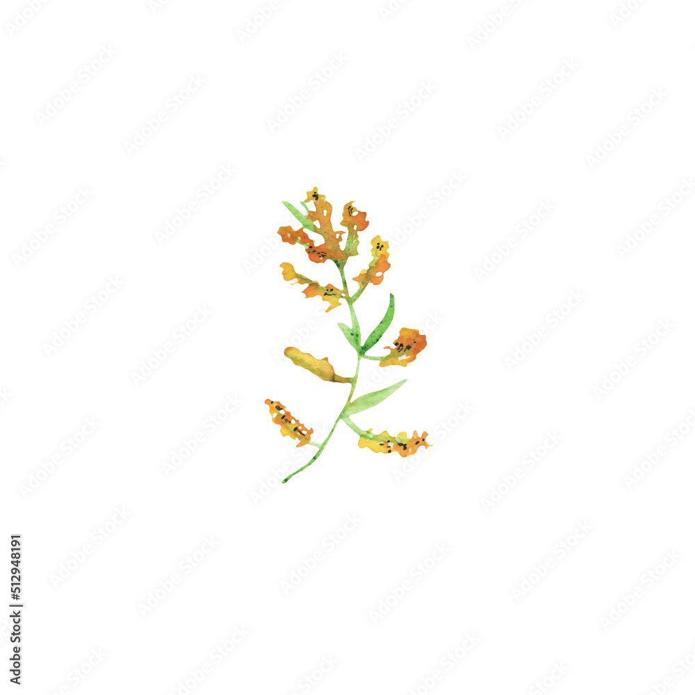 Watercolor illustration simple leaves on white background.Simple element.Green color.