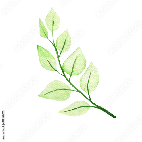 Watercolor illustration simple leaves on white background.Simple element.Green color.