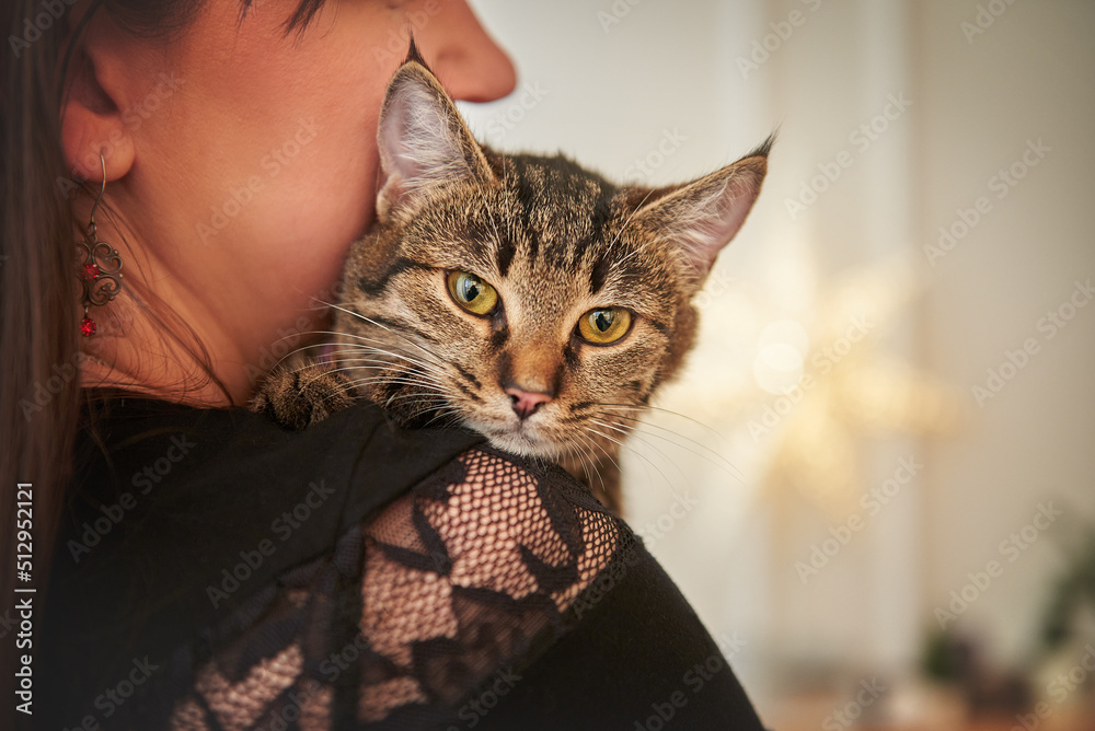 Woman petting her pet tabby cat