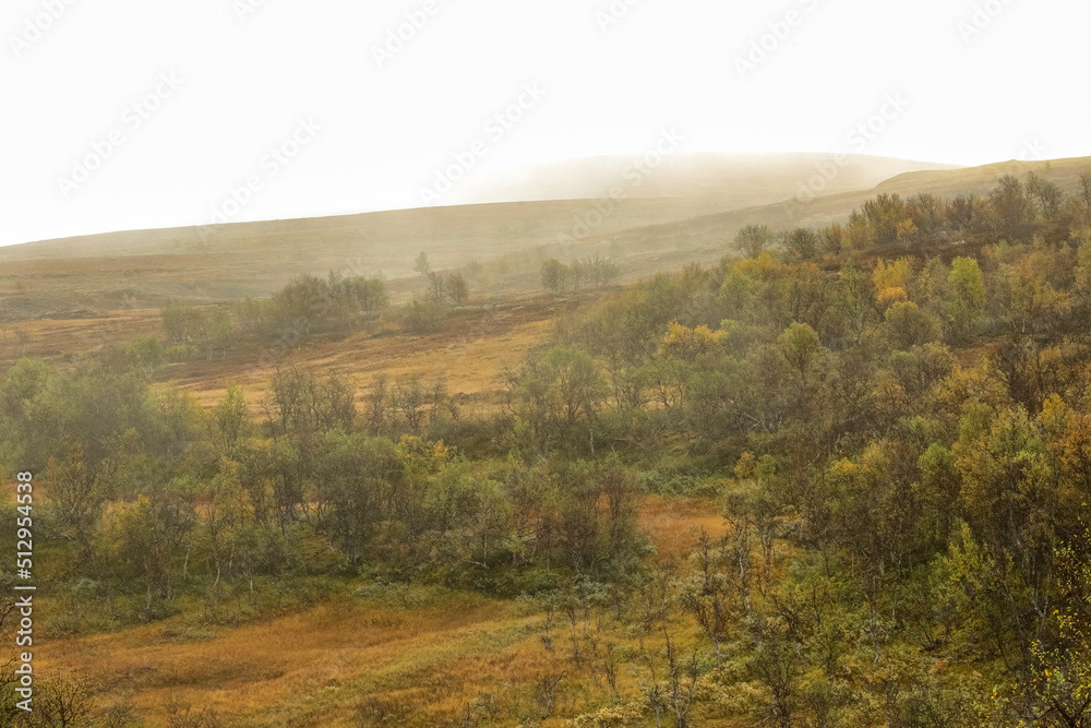 Fall in the Forollhogna National Park