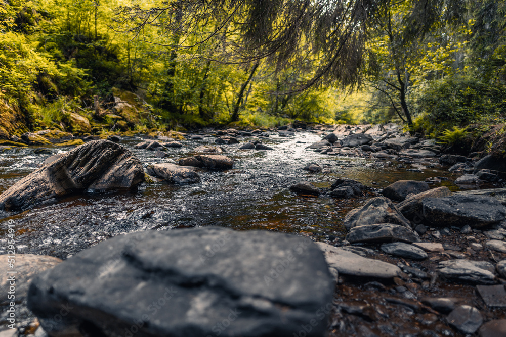 Die Rur Fluss im Wald bei Monschau Stock 写真 Adobe Stock