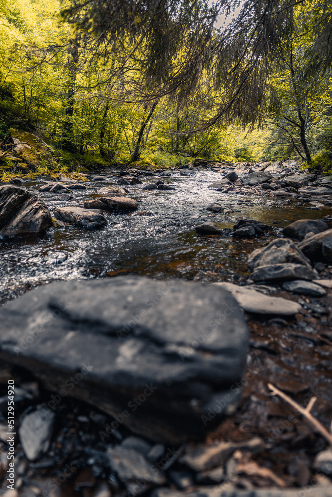 Die Rur - Fluss im Wald bei Monschau