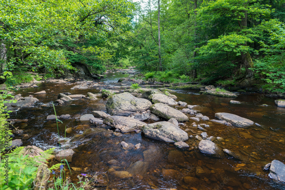 Die Rur - Fluss im Wald bei Monschau Die Rur - Fluss im Wald bei Monschau