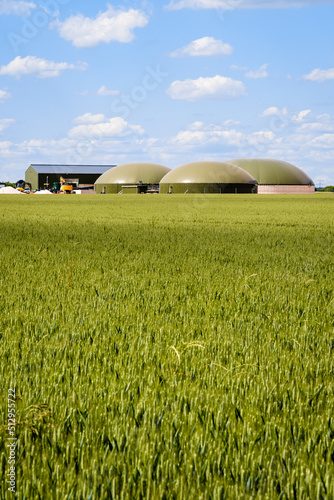 General view of a biogas plant with three digesters in a green wheat field in the countryside under a blue sky with white clouds.