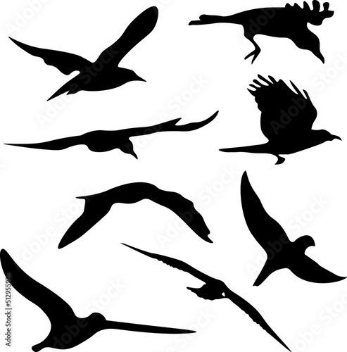 set of silhouettes of birds flying vector design © MSaeed