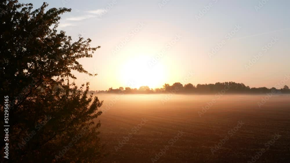 Field in fog at sunrise, wonderful morning sunrise natural landscape aerial view Field in fog at sunrise, wonderful morning sunrise natural landscape aerial view