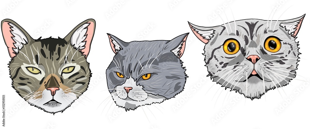Stickers of the three cats with yellow eyes.